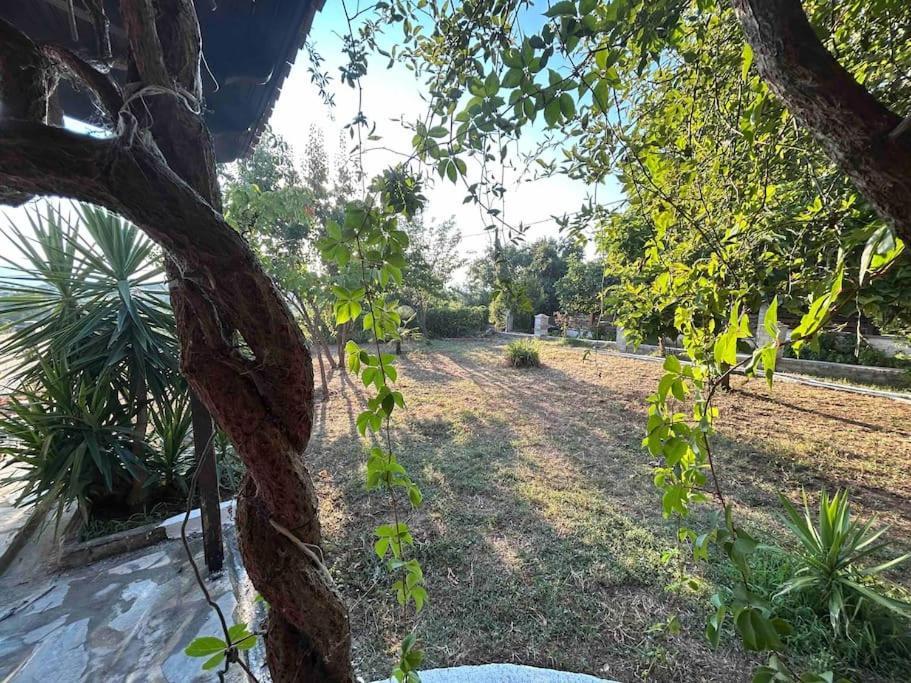 Yourlittlemiracle-Panoramicview+Firepit+Garden+Bbq Argalasti Eksteriør billede